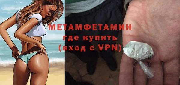 индика Осинники