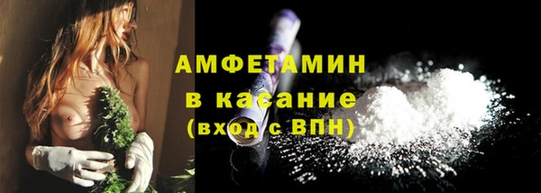 твердый Пересвет