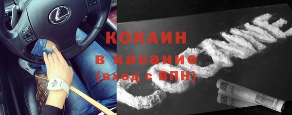 твердый Пересвет