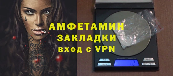 индика Осинники