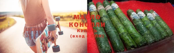 индика Осинники