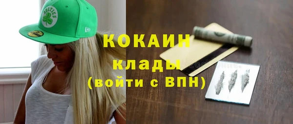 твердый Пересвет