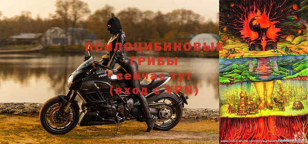 индика Осинники