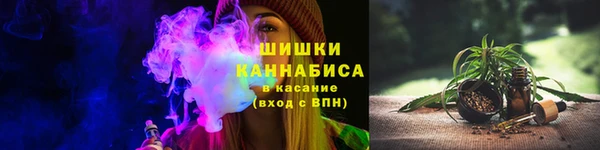 твердый Пересвет