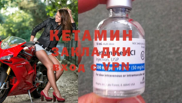индика Осинники