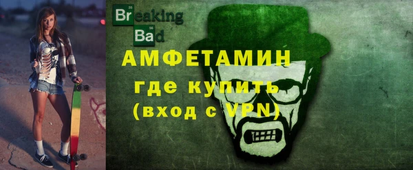 индика Осинники