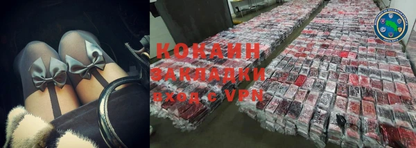 твердый Пересвет