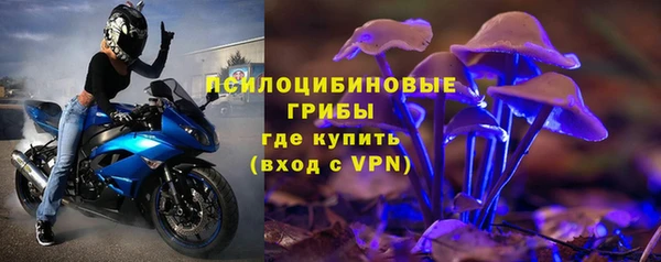 индика Осинники