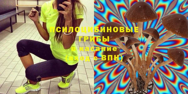 первитин Снежногорск