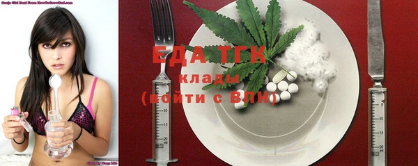 индика Осинники