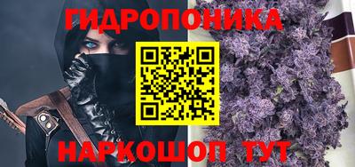 прущая мука Гатчина